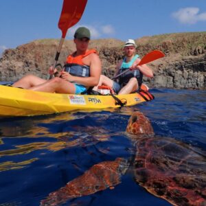 Kayak and Snorkeling with Turtles