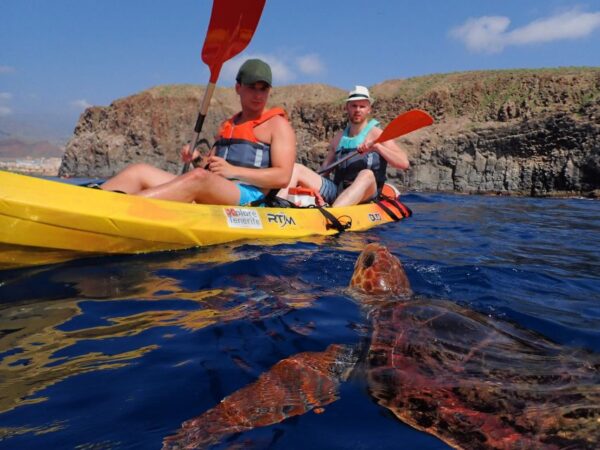 Kayak and Snorkeling with Turtles