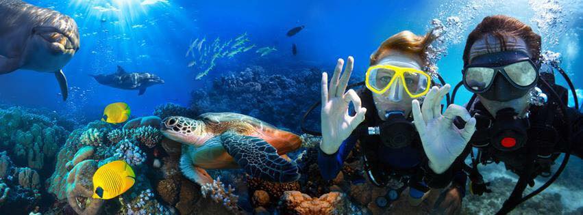 Try Dive in Tenerife: Explore the Underwater Realm