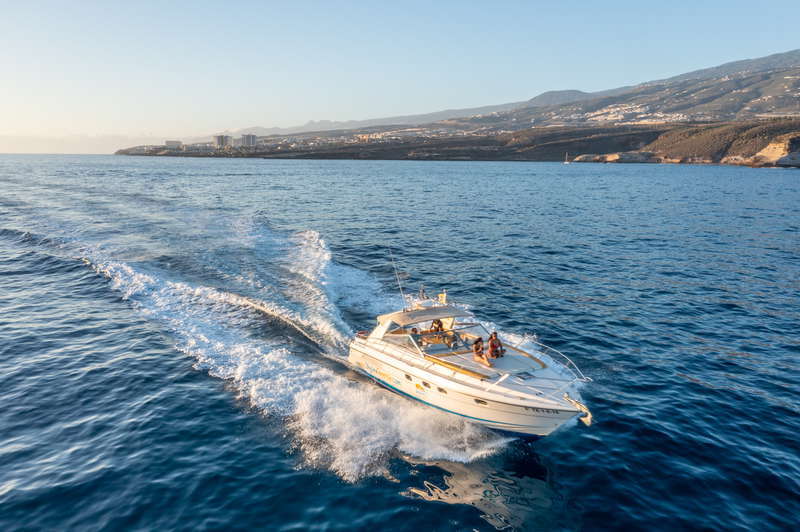 Whale Watching Adventure with Skyline Cruiser in Tenerife